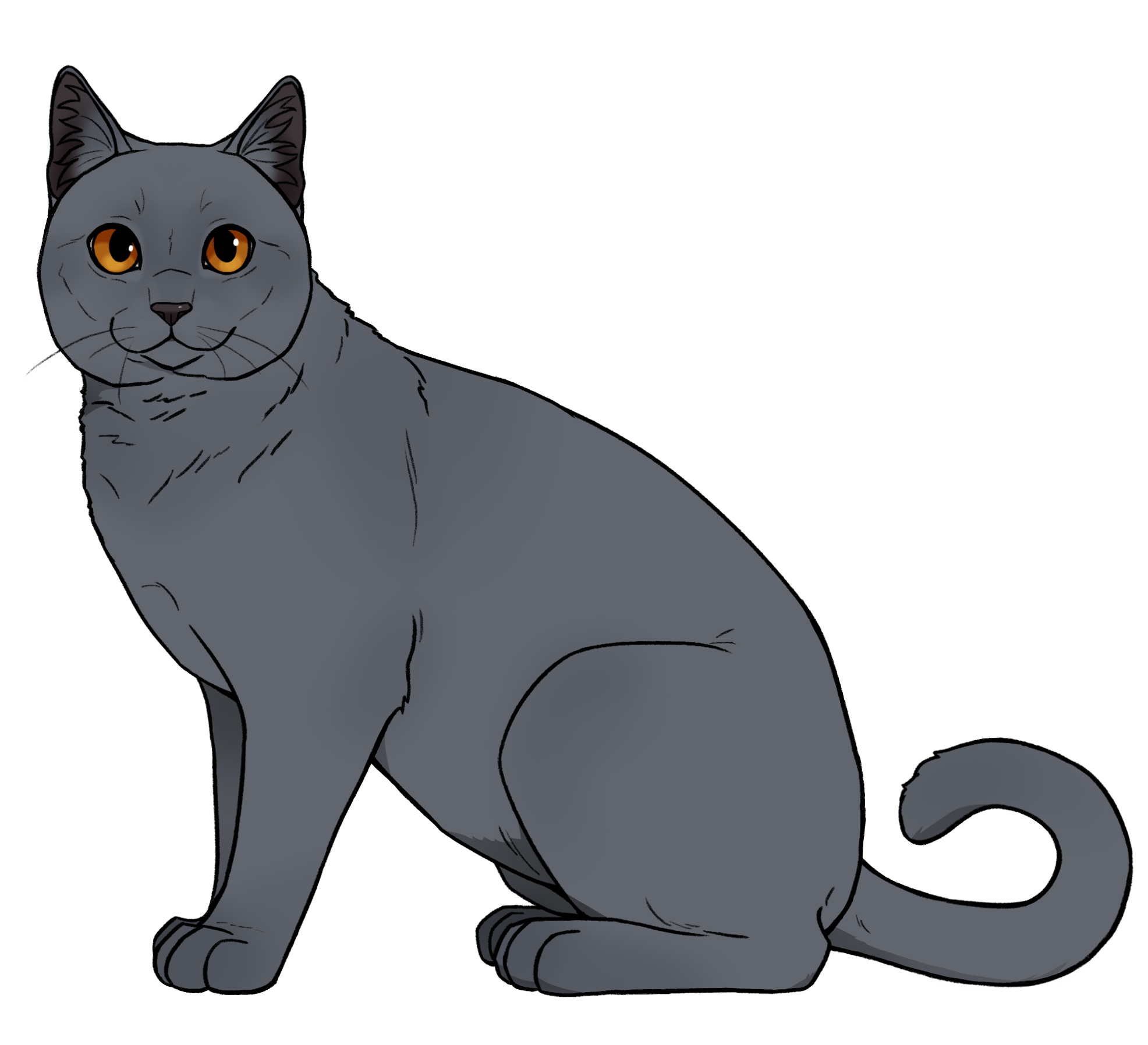 Katzenrasse Kartäuser (Chartreux) im Katzenzucht-Spiel Catmaster