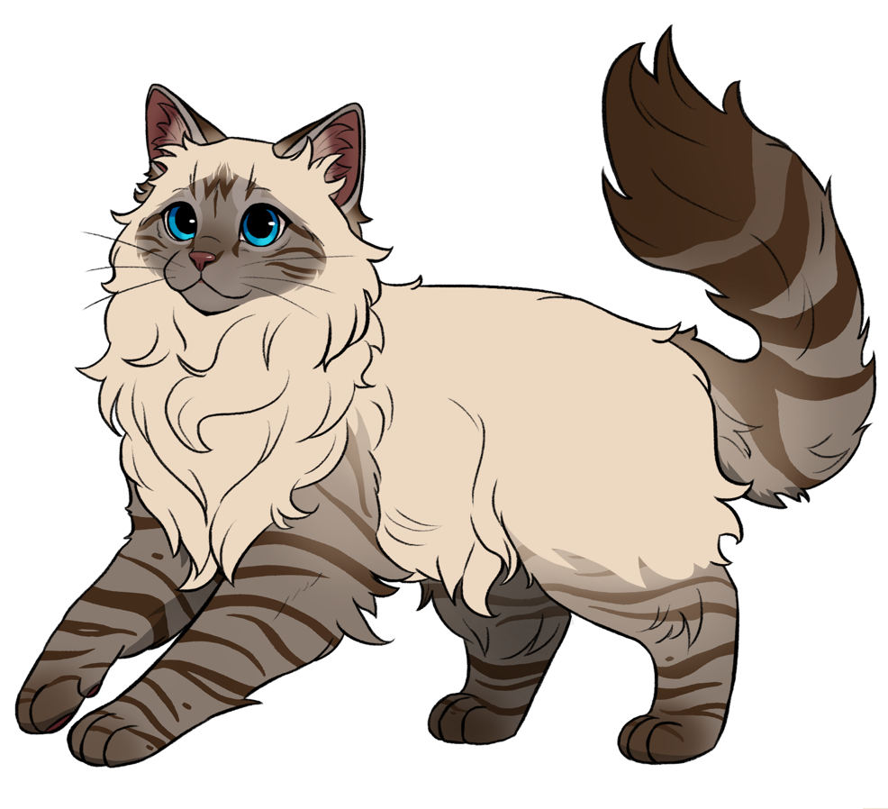 Katzenrasse Ragdoll im Katzenzucht-Spiel Catmaster